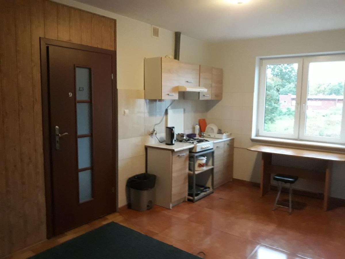 Noclegi Pod Kasztanami 马尔基 外观 照片