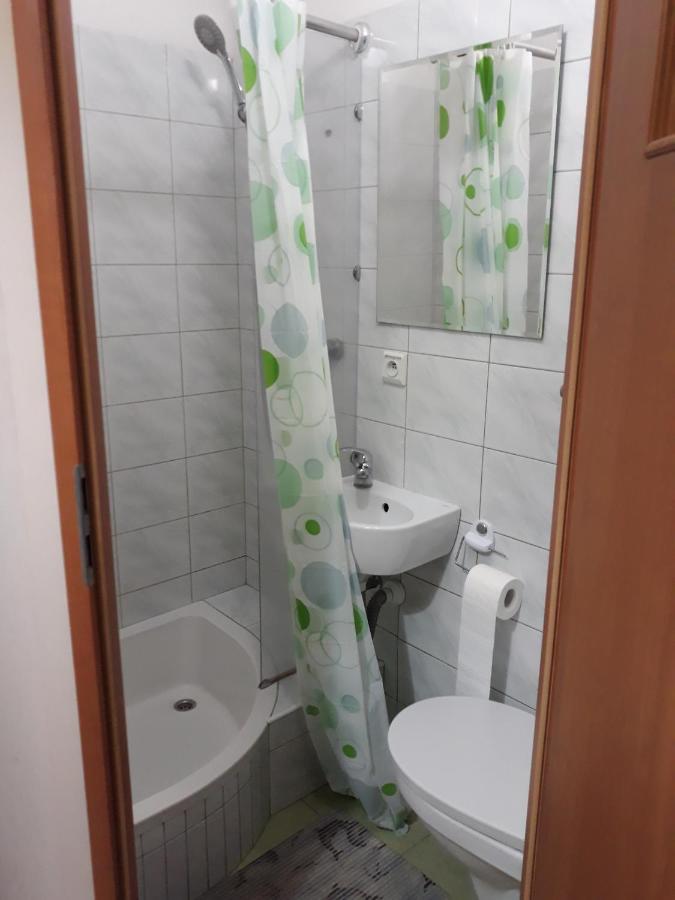 Noclegi Pod Kasztanami 马尔基 外观 照片